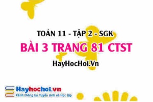 Bài 3 trang 81 Toán 11 tập 2 Chân trời sáng tạo